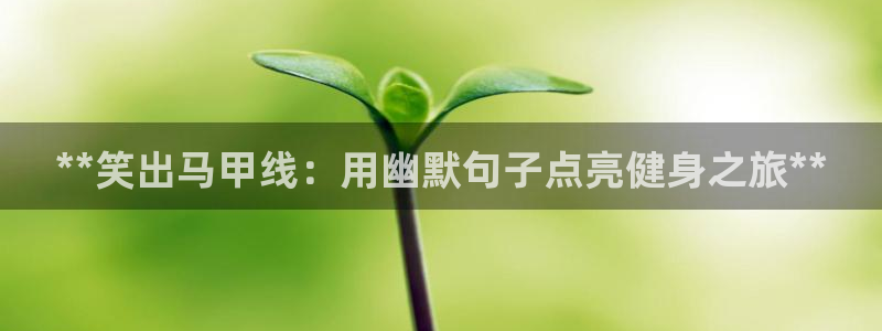 国际龙8官网pt客户端