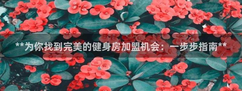 龙八国际app客户端下载不了