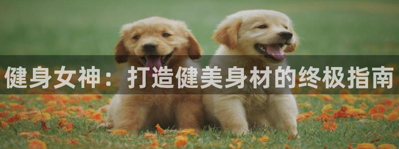 龙8国际唯一官网