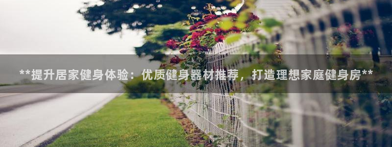 龙8国际是什么电影
