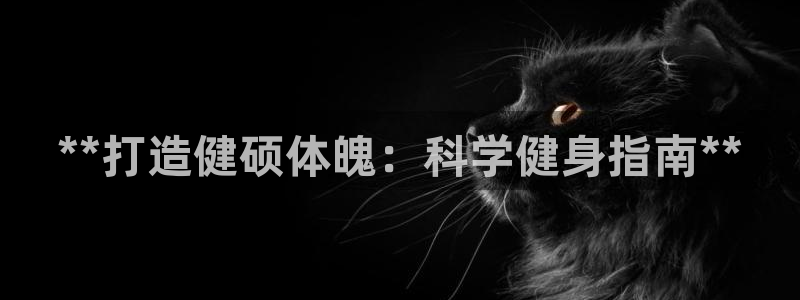 龙八国际下载官网平台