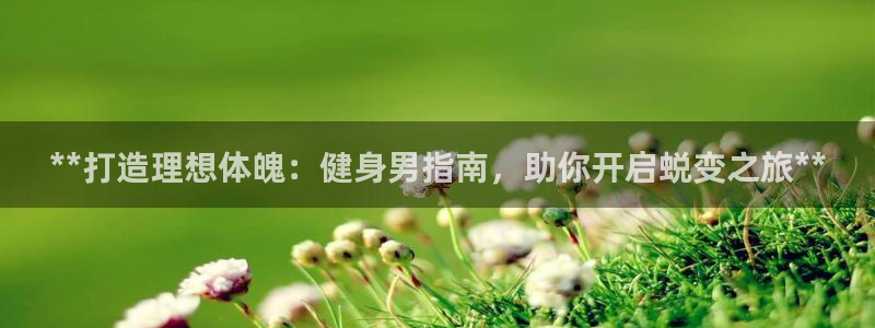 龙8国际pt官网