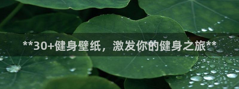 龙8手机游戏官网