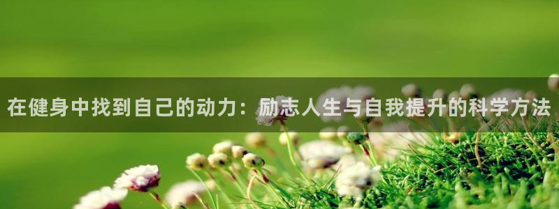 龙8国际手机版app
