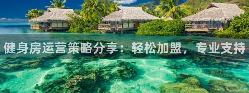 龙8国际开户