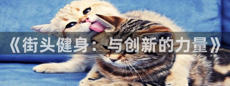 龙8国际唯一官网