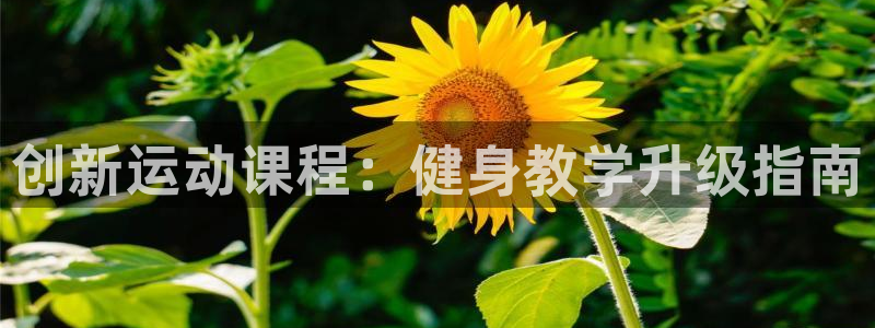 龙8老虎机网络游戏
