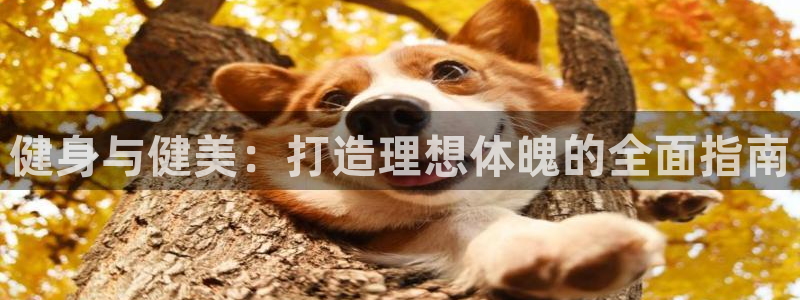 国际龙8官网pt客户端