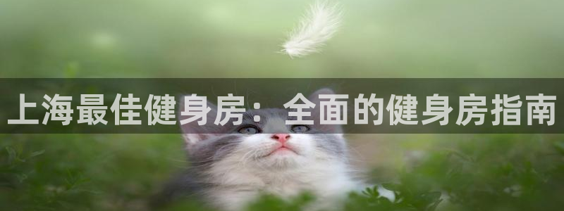 龙8国际官方平台