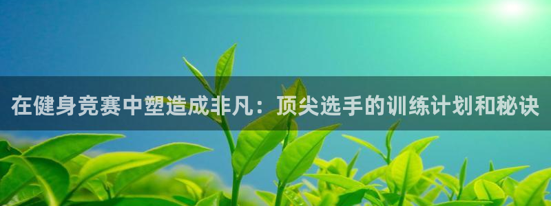 龙8国际服