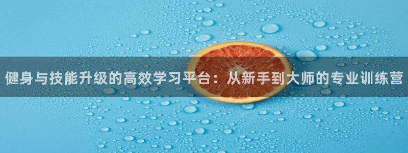 龙8国际是什么