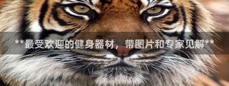 龙8国际官网版