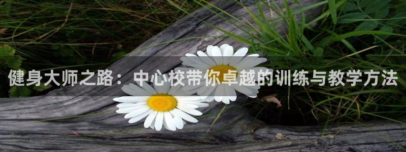 龙八国际网页登录