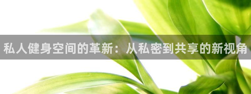 龙8国际long8