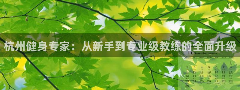 龙8国际app客户端下载不了