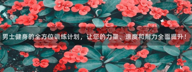 龙八国际娱乐在线游戏