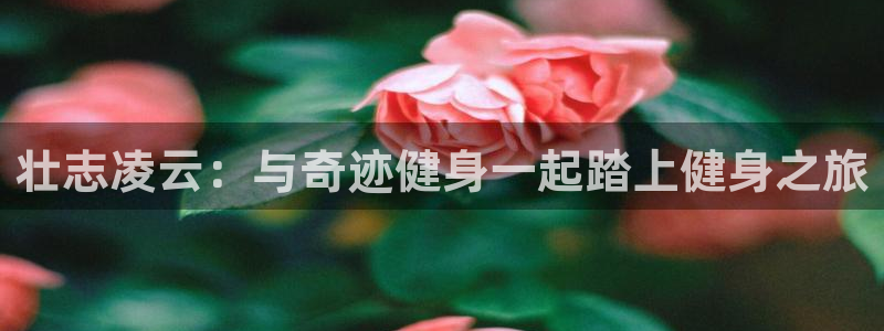 龙8游戏官网