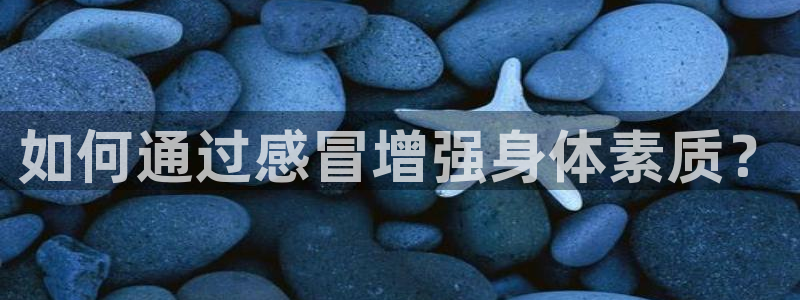 龙8国际线上