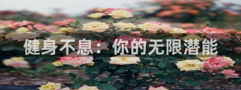 龙8国际游资如何