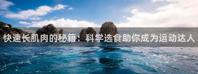 国际龙8官网pt客户端下载
