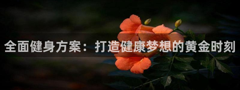 龙8国际玩家