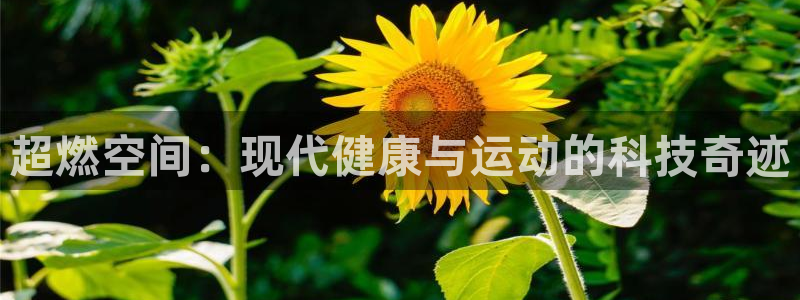龙8国际pt网址官方