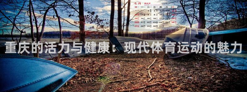 龙8国际网站怎么样