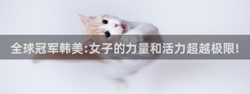 龙8国际pt官方网址