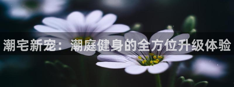 龙8国际龙8官方网站