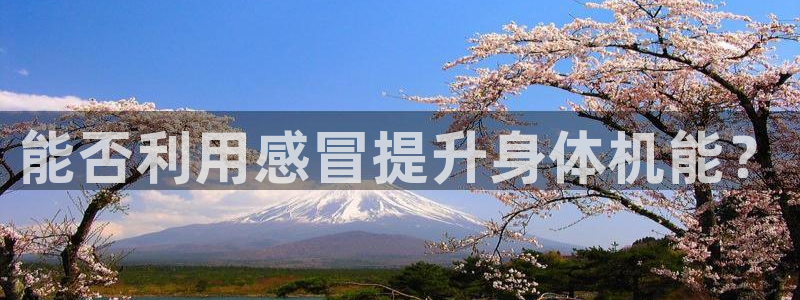 龙8老虎机手机版