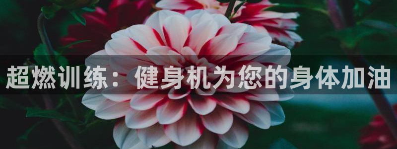 龙8国际pt客户端下载