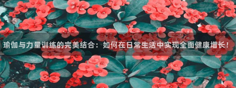 龙8国际娱首页