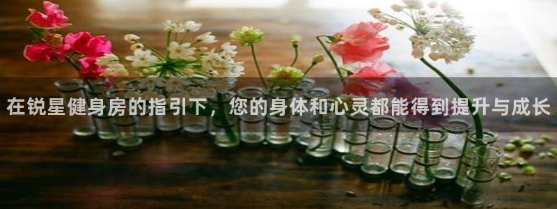 龙8国际为啥改名叫头号玩家了呢