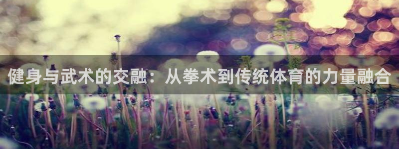 国际龙8官方网站