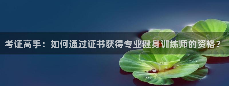 龙8国际手机登录官网