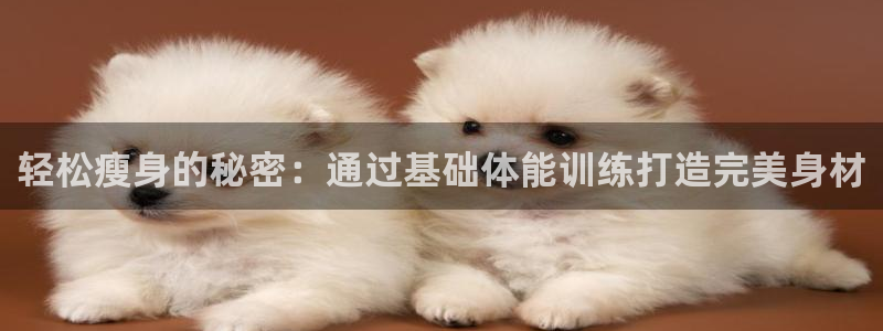 龙8国际头号玩家