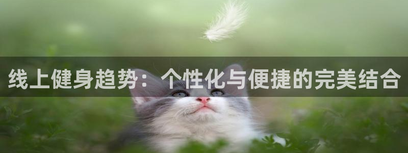 龙八国际服官网入口