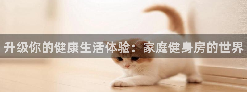 龙八国际娱乐官方网站