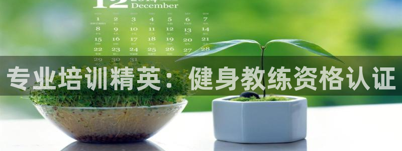 龙8游戏平台官方