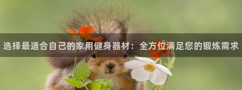 龙8国际官网版手机版