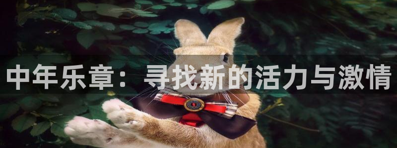 龙八国际娱乐官网app