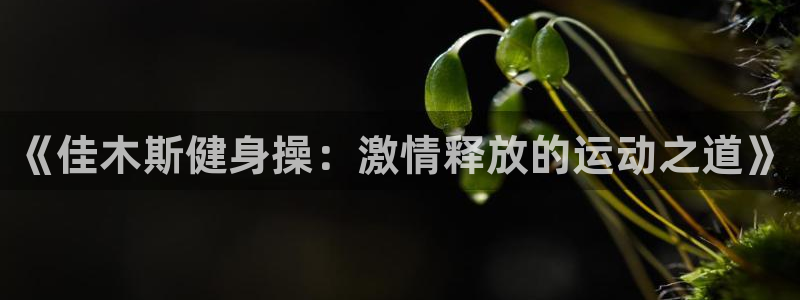 龙八国际首页