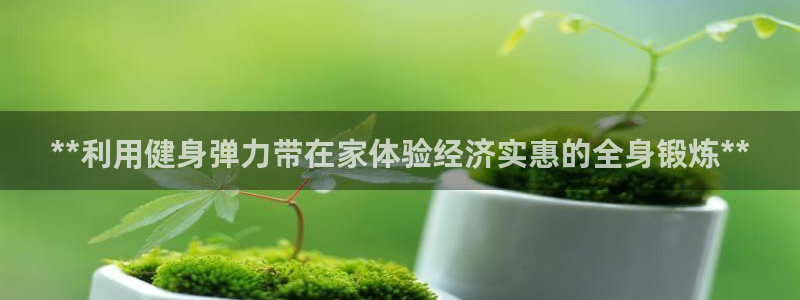 龙 八国际