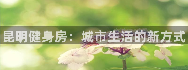 龙8国际游戏