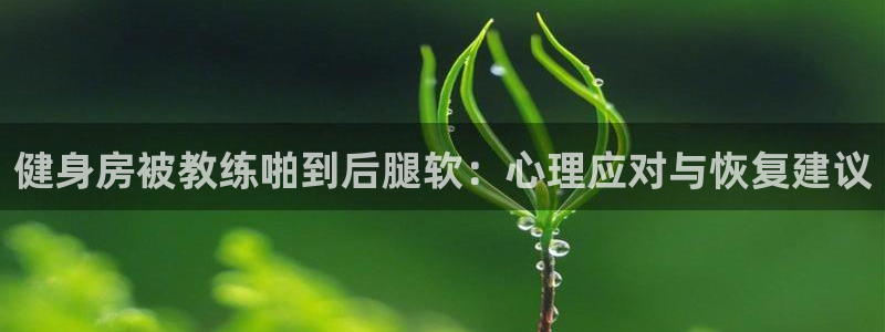 国际龙8官网pt客户端