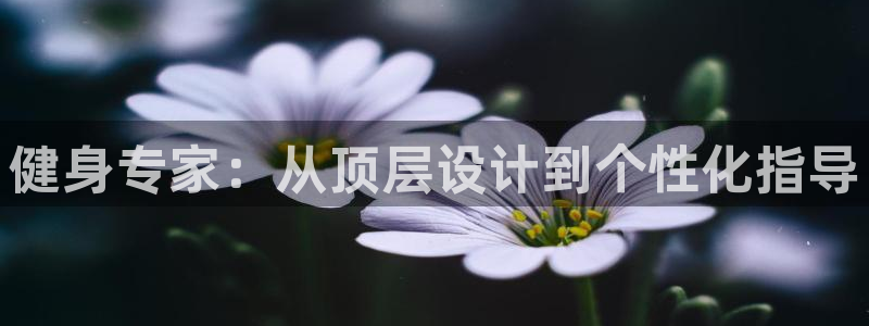 龙8国际是真的吗