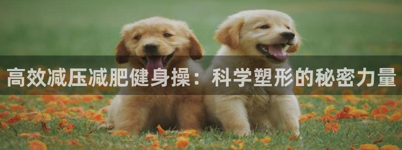龙8全新客户端安卓版