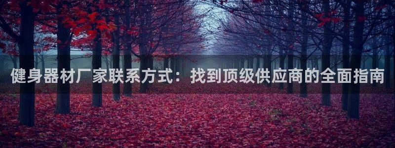 龙8国际3.0